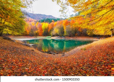 Autumn colors. Autumn time. Colorful fallen leaves in the lake. Magnificent landscape. Yedigoller National Park. Bolu, Istanbul, Turkey. - Shutterstock ID 1500903350