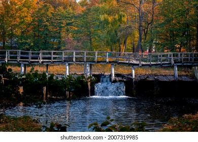 Autumn colors and waterfall under a crooked wooden bridge