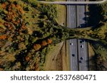 Autumn coloured forest aerial wildlife crossing De Borkeld forming a safe natural corridor bridge for animals to migrate between conservancy areas seen from above with traffic passing by on interstate