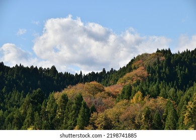 Autumn colourful forest. Mt.Taihaku san. Another name is “Sendai fuji” and “Natori fuji”.
 - Shutterstock ID 2198741885