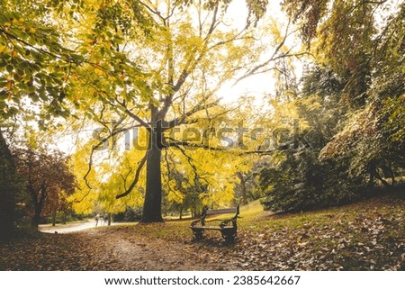 Similar – Image, Stock Photo Autumn colours in Citadel park in Ghent, Flanders region, Belgium. Belgian landscape in November. Red-orange-yellow leaves. Romantic and idyllic scenery