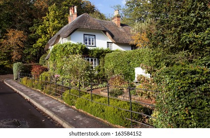 Autumn Colours In The New Forest In Hampshire England UK