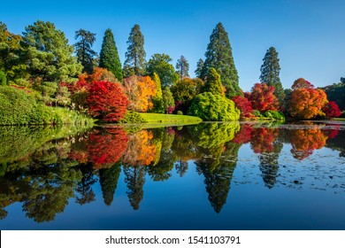 Autumn Colours On The Trees Reflected In A Lake In Sheffield Park Gardens, A National Trust Property In Sussex, UK.