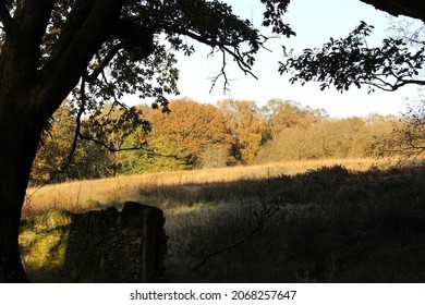 Autumn Colours In The South Wales Valleys