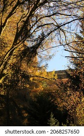 Autumn Colours In The South Wales Valleys