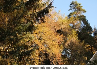 Autumn Colours In The South Wales Valleys