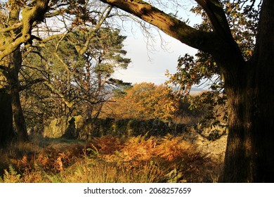 Autumn Colours In The South Wales Valleys