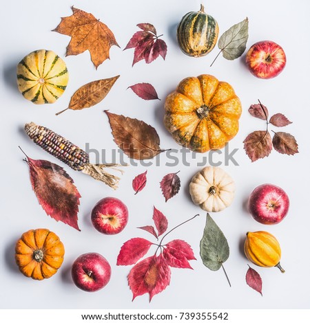 Similar – Autumn still life with pumpkin and leaves