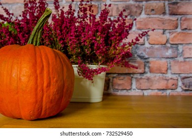 Autumn composition 13
