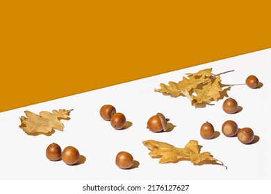Autumn composition with acorns, dry yellow oak leaves on white and orange, copy space. - Shutterstock ID 2176127627