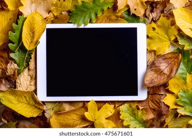 Autumn Composition. Colorful Leaves And Tablet. Studio Shot