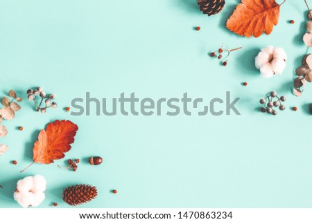 Autumn composition. Dried leaves, cotton flowers on pastel blue background. Autumn, fall, winter concept. Flat lay, top view, copy space