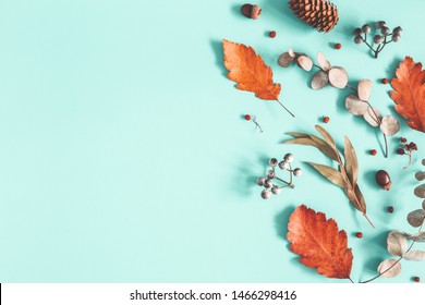 Autumn composition. Dried leaves, flowers on pastel blue background. Autumn, fall, winter concept. Flat lay, top view, copy space