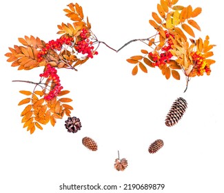 Autumn composition in the form of a heart of branches and berries of mountain ash, cones. Frame of natural gifts of the forest on a white background. Thanksgiving day. Space for text. copy space