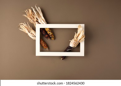 Autumn composition. Frame made of corn on brown background. Fall, Thanksgiving day concept. Flat lay, top view, copy space, square.
