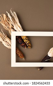 Autumn composition. Frame made of corn on brown background. Fall, Thanksgiving day concept. Flat lay, top view, copy space, square.