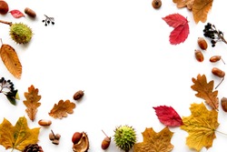 Autumn Composition. Frame Made Of Dried Leaves, Branches, Pine Cones, Berries, Chestnuts And Acorns Isolated On White Background. Template Mockup Fall, Halloween. Flat Lay, Copy Space Background