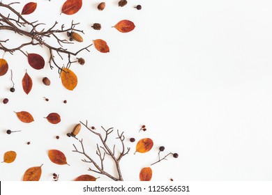 Autumn composition. Frame made of autumn dried leaves on white background. Flat lay, top view, copy space - Shutterstock ID 1125656531