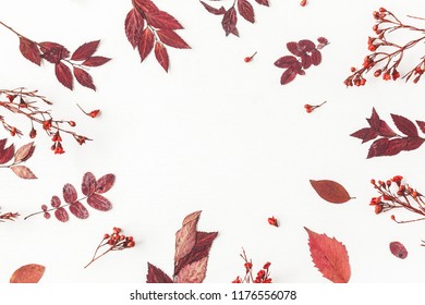 Autumn composition. Frame made of autumn flowers and leaves on white background. Flat lay, top view, copy space