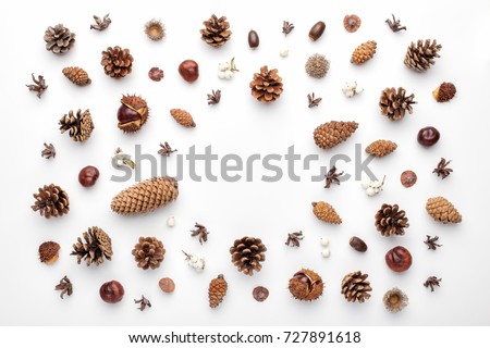 Autumn composition, frame made of pine cones, acorns and chestnuts. Flat lay, top view.
