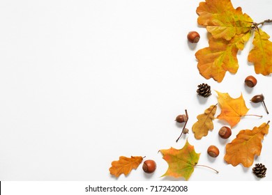 Autumn composition. Autumn leaves, acorn, pinecone, nuts. Top view, copy space