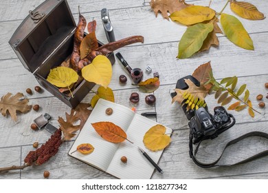 Autumn composition with objects