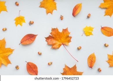 Autumn Composition On White Background, Flat Lay, Top View