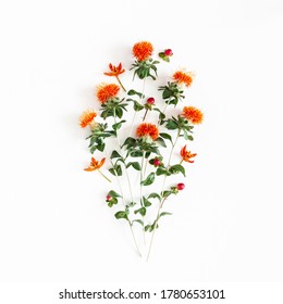 Autumn Composition. Orange Flowers On White Background. Autumn, Fall Concept. Flat Lay, Top View