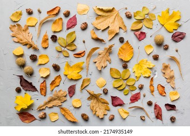 Autumn composition. Pattern made of dried leaves and other design accessories on table. Flat lay, top view. - Shutterstock ID 2174935149