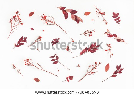 Similar – Image, Stock Photo Red dried flowers and old photos