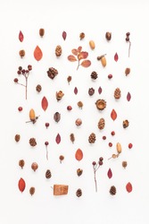 Autumn Composition. Pattern Made Of Autumn Leaves, Acorn, Pine Cones. Flat Lay, Top View.