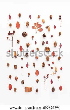 Autumn composition. Pattern made of autumn leaves, acorn, pine cones. Flat lay, top view.