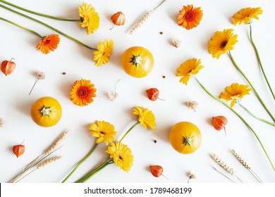 Autumn Composition. Pumpkins, Gerbera Flowers On White Background. Autumn, Fall Concept. Flat Lay, Top View