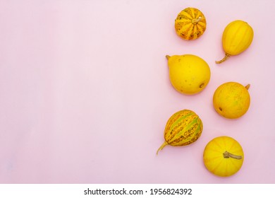 Autumn composition. Pumpkins on pastel pink background. Fall or halloween concept, flat lay, top view