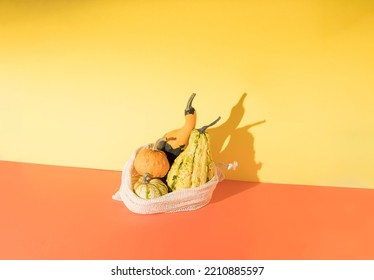 Autumn Composition With Pumpkins In White Crochet Organic Shopping Bag Against Yellow And Orange Two Tone Background. Creative Vegetable Fall Food Concept. Minimal Thanksgiving Still Live Idea.