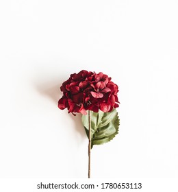 Autumn Composition. Red Flowers On White Background. Autumn, Fall Concept. Flat Lay, Top View=