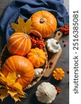 Autumn composition for Thanksgiving Day, still life background. Pumpkin harvest in basket, vegetables, patisson, autumn leaves, red berries on wooden table. Fall decoration design. Top view, flat lay