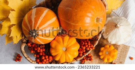 Autumn composition for Thanksgiving Day, still life background. Pumpkin harvest in basket, vegetables, patissons, autumn leaves, red berries on white kitchen table. Fall decoration design. Banner