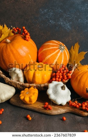 Autumn composition for Thanksgiving Day, still life background. Pumpkin harvest in basket, vegetables, patissons, autumn leaves, red berries on wooden table. Fall decoration design