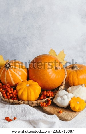 Autumn composition for Thanksgiving Day, still life background. Pumpkin harvest in basket, vegetables, patissons, autumn leaves, red berries on white kitchen table. Fall decoration design