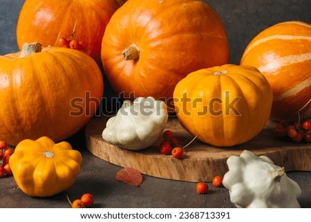 Autumn composition for Thanksgiving Day, still life background. Pumpkin harvest, vegetables, patissons, autumn leaves, red berries on dark wooden table. Fall decoration design. Close up