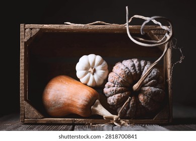 Autumn composition with three different pumpkins on wooden table on dark background close up. Food photography