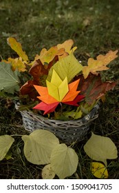 Autumn concept background traditional paper craft handmade origami fallen maple leaves nature Colorful backround image perfect for seasonal use close up nature