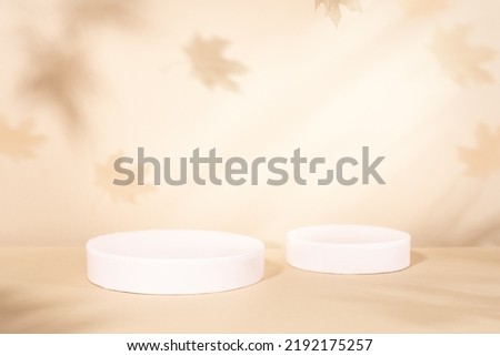 Autumn concept with cylinder podiums for promotion product presentation. Geometric forms and shadow of the maple tree leaves on a wall. Abstract Autumn scene with copy space.