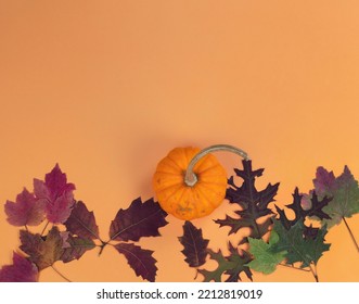 Autumn Concept Pumpkin And Leaves On Solid Orange Background For The Holiday Seasons Of Halloween Or Thanksgiving 