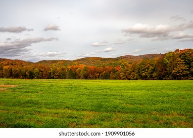 Autumn Country Landscape with Trees	 - Shutterstock ID 1909901056