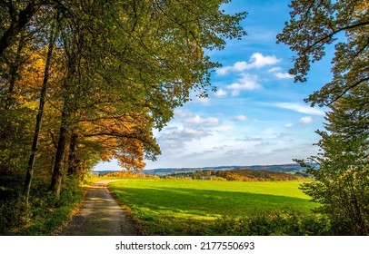Autumn country road landscape. Countryside in autumn. Autumn countryside road. Autumn countryside landscape