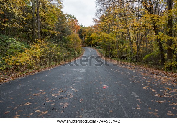 Autumn country
road, Muskoka, Ontario, Canada.
