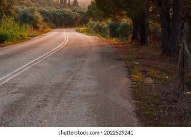 Autumn Country Side Road Park Outdoor Landscape Photo In Orange Colors Light From Sunset