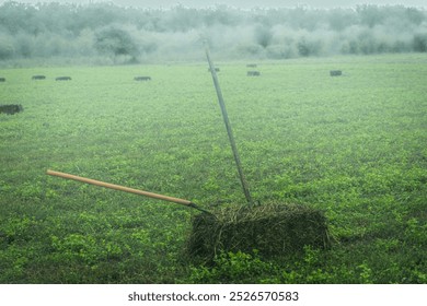 An autumn countryside landscape with a field of hay bales and farm tools. The hay bales, green field and misty atmosphere create a peaceful and idyllic scene. The forks add a touch of human activity. - Powered by Shutterstock